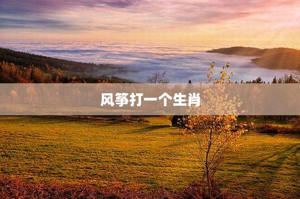风筝打一个生肖
