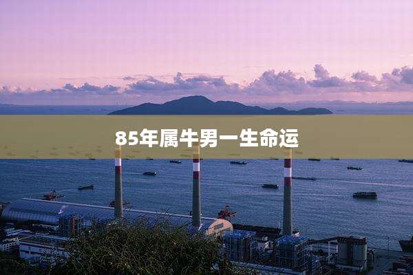 85年属牛男一生命运
