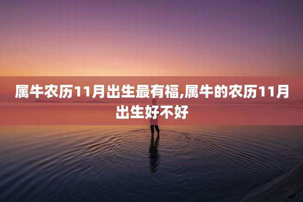 属牛农历11月出生最有福,属牛的农历11月出生好不好