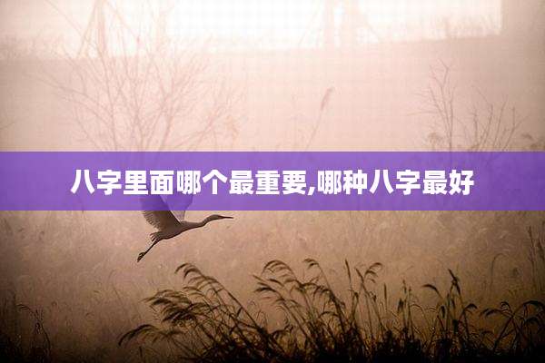 八字里面哪个最重要,哪种八字最好