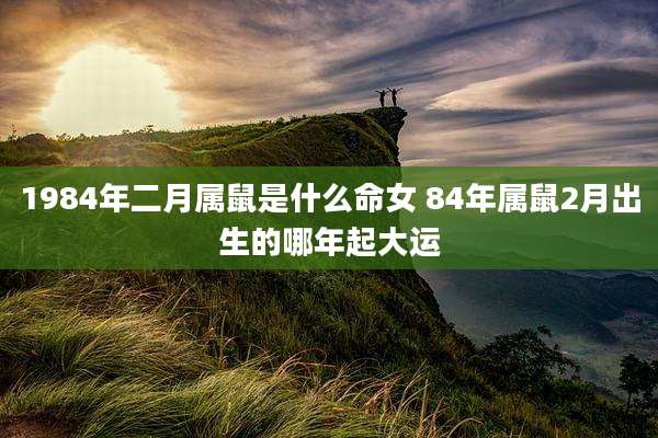 1984年二月属鼠是什么命女 84年属鼠2月出生的哪年起大运