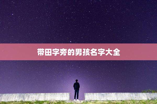 带田字旁的男孩名字大全