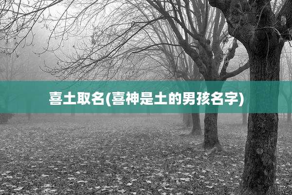 喜土取名(喜神是土的男孩名字)