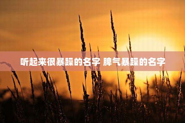 听起来很暴躁的名字 脾气暴躁的名字