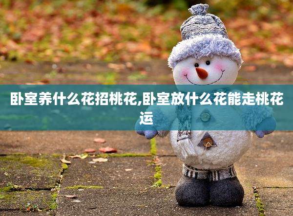 卧室养什么花招桃花,卧室放什么花能走桃花运