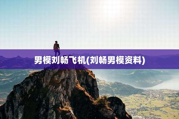 男模刘畅飞机(刘畅男模资料)