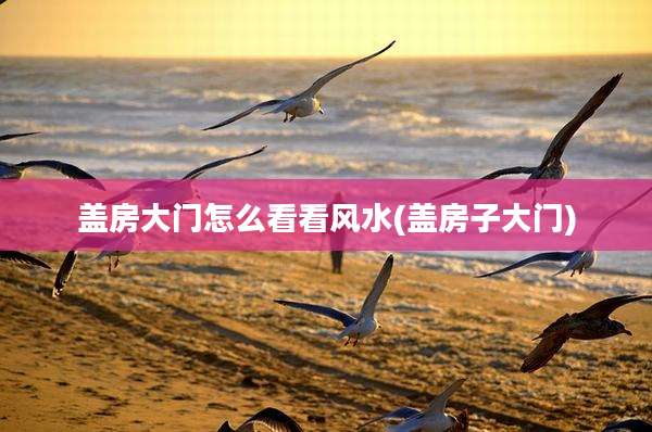 盖房大门怎么看看风水(盖房子大门)