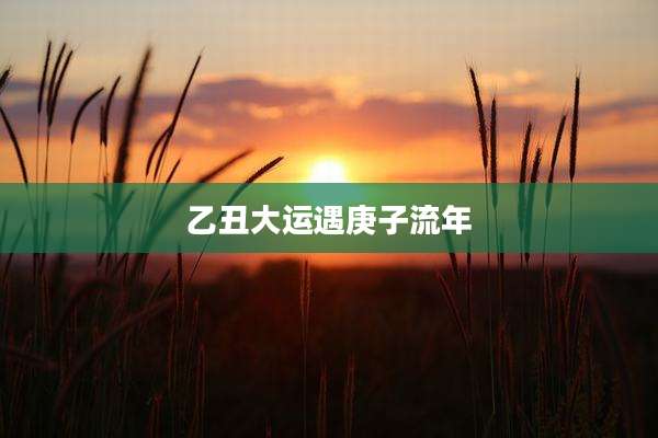 乙丑大运遇庚子流年