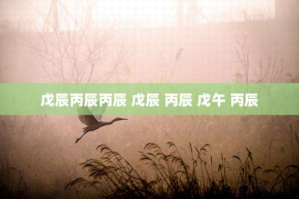 戊辰丙辰丙辰 戊辰 丙辰 戊午 丙辰