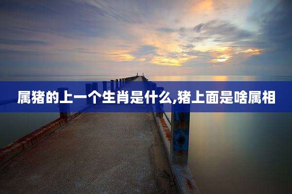 属猪的上一个生肖是什么,猪上面是啥属相