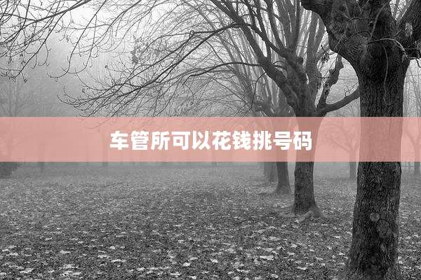 车管所可以花钱挑号码