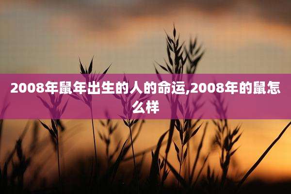2008年鼠年出生的人的命运,2008年的鼠怎么样