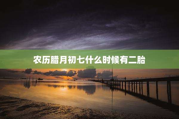 农历腊月初七什么时候有二胎