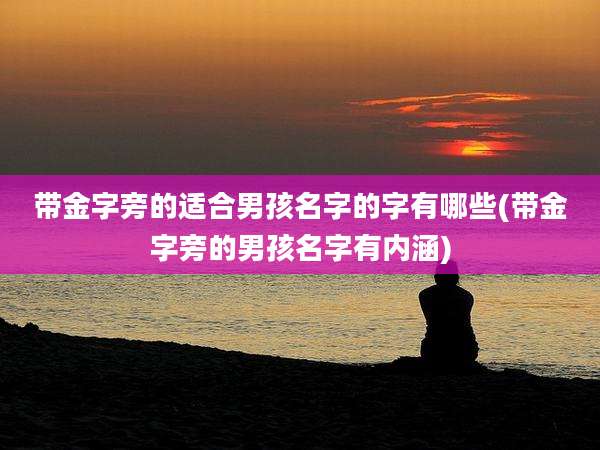 带金字旁的适合男孩名字的字有哪些(带金字旁的男孩名字有内涵)