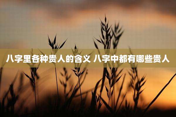 八字里各种贵人的含义 八字中都有哪些贵人