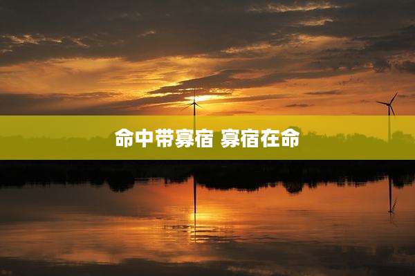 命中带寡宿 寡宿在命