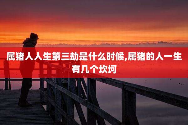 属猪人人生第三劫是什么时候,属猪的人一生有几个坎坷
