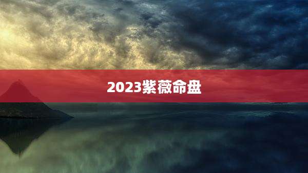 2023紫薇命盘