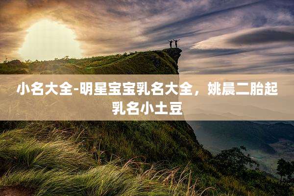 小名大全-明星宝宝乳名大全,姚晨二胎起乳名小土豆