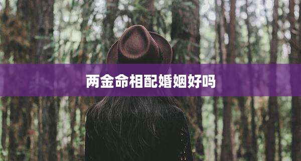 两金命相配婚姻好吗