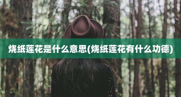 烧纸莲花是什么意思(烧纸莲花有什么功德)