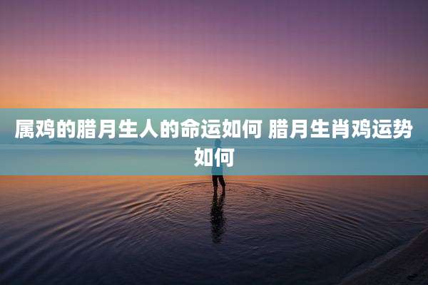 属鸡的腊月生人的命运如何 腊月生肖鸡运势如何