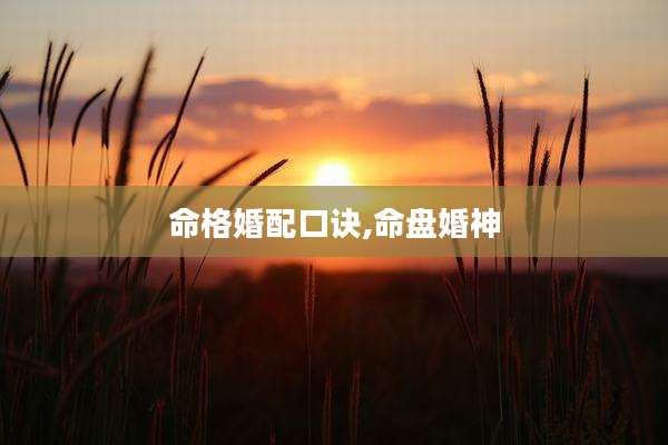 命格婚配口诀,命盘婚神