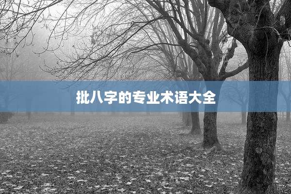 批八字的专业术语大全