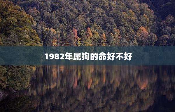 1982年属狗的命好不好