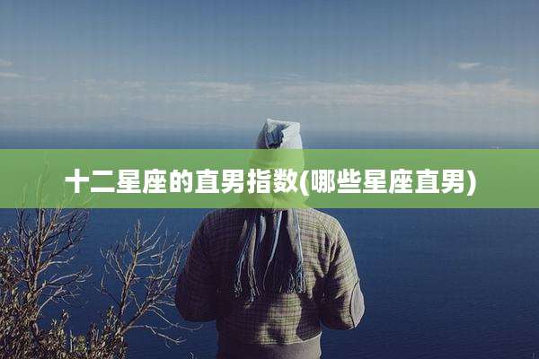 十二星座的直男指数(哪些星座直男)