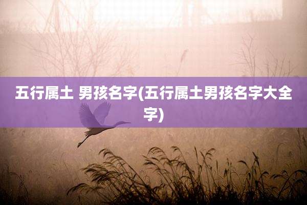 五行属土 男孩名字(五行属土男孩名字大全字)