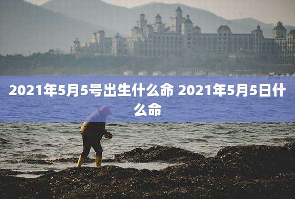 2021年5月5号出生什么命 2021年5月5日什么命
