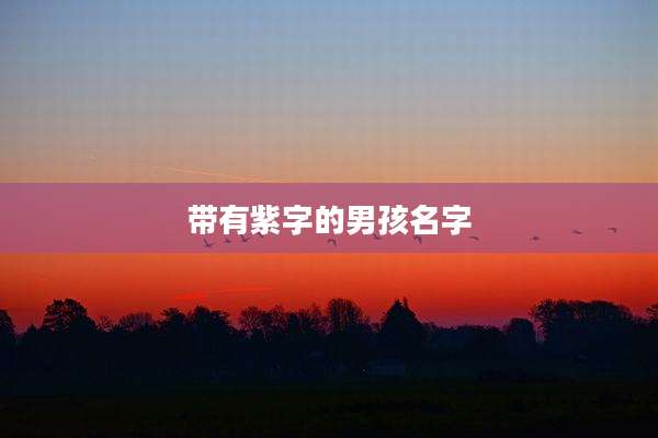 带有紫字的男孩名字