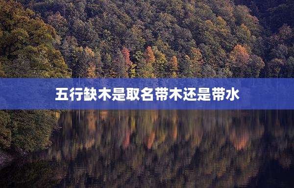 五行缺木是取名带木还是带水