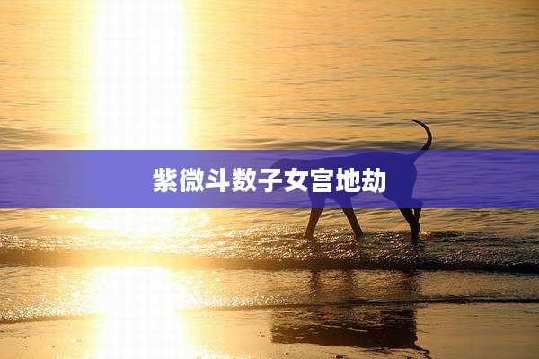 紫微斗数子女宫地劫