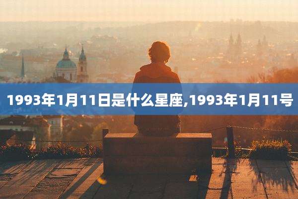 1993年1月11日是什么星座,1993年1月11号