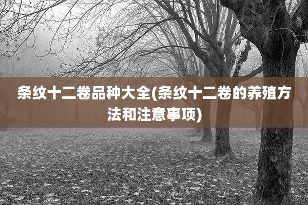 条纹十二卷品种大全(条纹十二卷的养殖方法和注意事项)