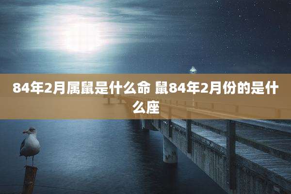 84年2月属鼠是什么命 鼠84年2月份的是什么座