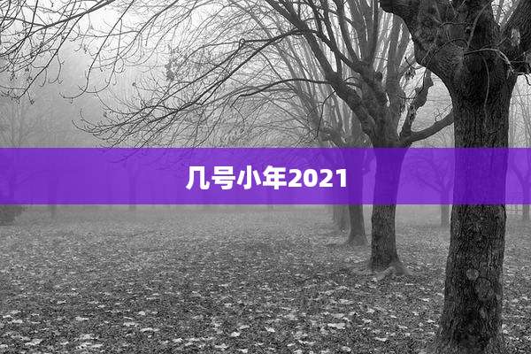 几号小年2021
