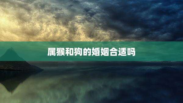 属猴和狗的婚姻合适吗