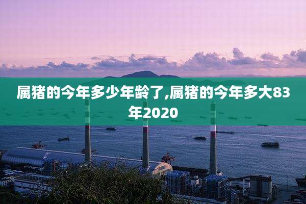 属猪的今年多少年龄了,属猪的今年多大83年2020