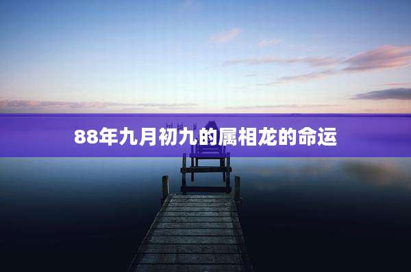 88年九月初九的属相龙的命运