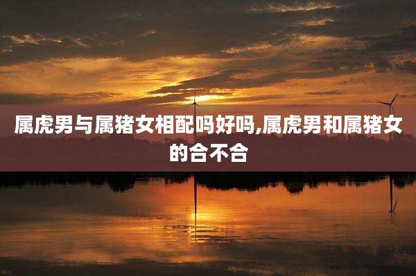 属虎男与属猪女相配吗好吗,属虎男和属猪女的合不合