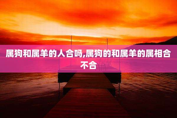 属狗和属羊的人合吗,属狗的和属羊的属相合不合
