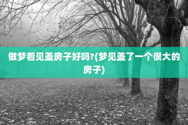 做梦看见盖房子好吗?(梦见盖了一个很大的房子)