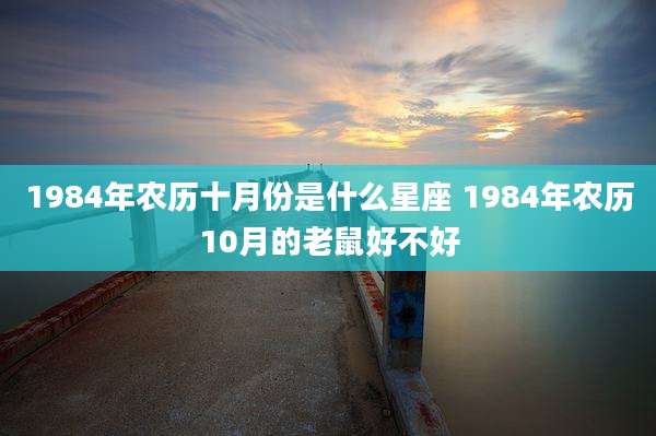 1984年农历十月份是什么星座 1984年农历10月的老鼠好不好