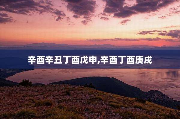 辛酉辛丑丁酉戊申,辛酉丁酉庚戌