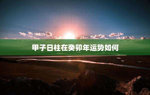 甲子日柱在癸卯年运势如何
