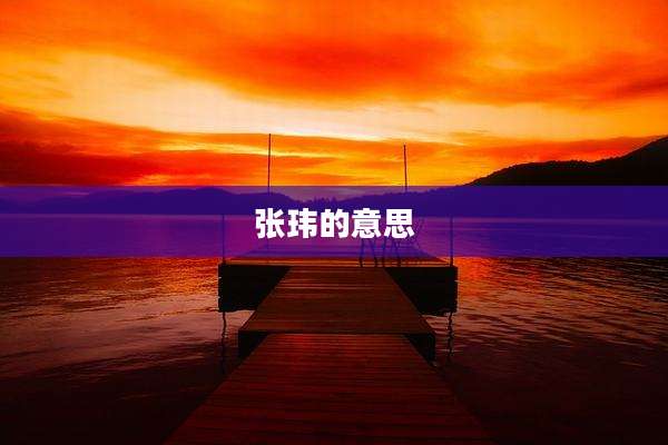 张玮的意思