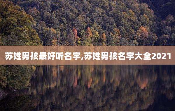 苏姓男孩最好听名字,苏姓男孩名字大全2021
